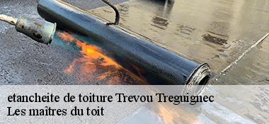 etancheite de toiture 22660