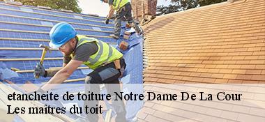 etancheite de toiture  22410