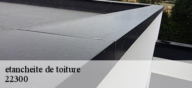 etancheite de toiture  22300