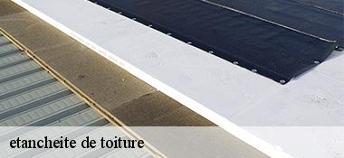 etancheite de toiture 22190