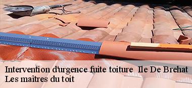 Intervention d'urgence fuite toiture   22870