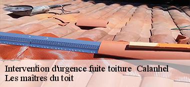 Intervention d'urgence fuite toiture   22160