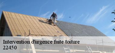 Intervention d'urgence fuite toiture 22450