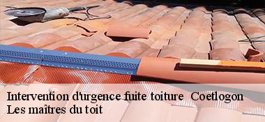 Intervention d'urgence fuite toiture   22210