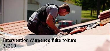 Intervention d'urgence fuite toiture   22210