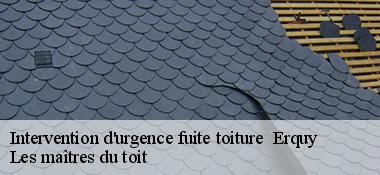 Intervention d'urgence fuite toiture   22430