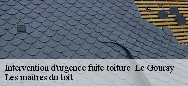 Intervention d'urgence fuite toiture   22330