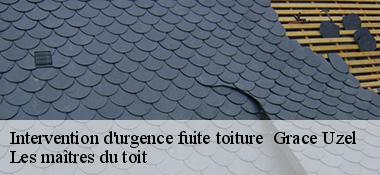 Intervention d'urgence fuite toiture 22460
