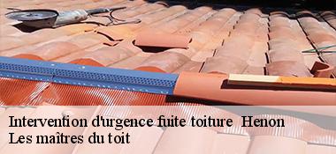 Intervention d'urgence fuite toiture   22150