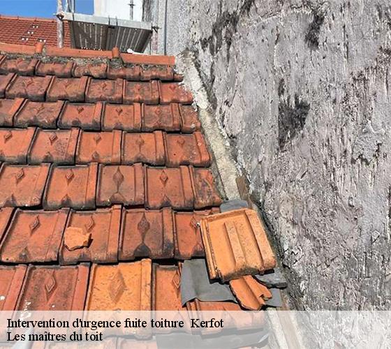 Intervention d'urgence fuite toiture   22500