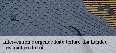 Intervention d'urgence fuite toiture   22980