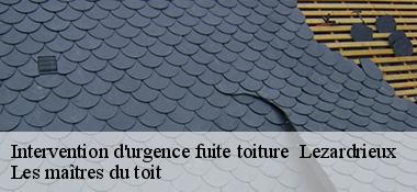 Intervention d'urgence fuite toiture   22740