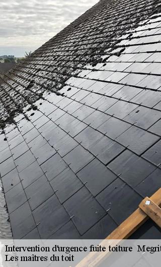 Intervention d'urgence fuite toiture 22270