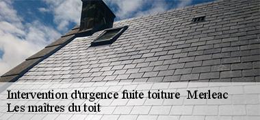 Intervention d'urgence fuite toiture 22460