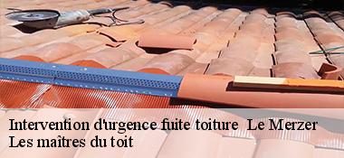 Intervention d'urgence fuite toiture   22200