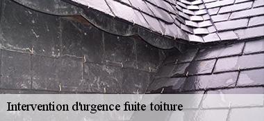 Intervention d'urgence fuite toiture 22400