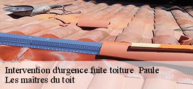 Intervention d'urgence fuite toiture   22340