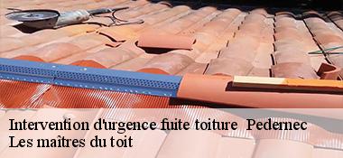 Intervention d'urgence fuite toiture   22540