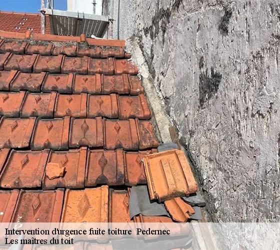 Intervention d'urgence fuite toiture   22540