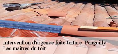 Intervention d'urgence fuite toiture   22510