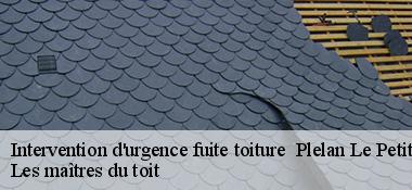 Intervention d'urgence fuite toiture   22980