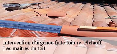 Intervention d'urgence fuite toiture   22570