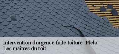Intervention d'urgence fuite toiture 22170