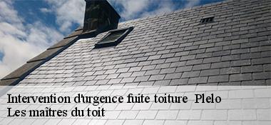 Intervention d'urgence fuite toiture 22170