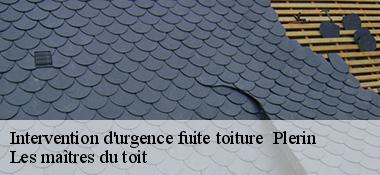 Intervention d'urgence fuite toiture   22190
