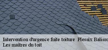 Intervention d'urgence fuite toiture   22650