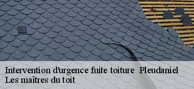 Intervention d'urgence fuite toiture 22740