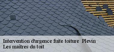 Intervention d'urgence fuite toiture   22340