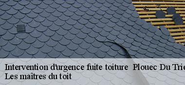 Intervention d'urgence fuite toiture   22260