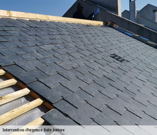 Intervention d'urgence fuite toiture   22470