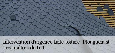Intervention d'urgence fuite toiture   22150