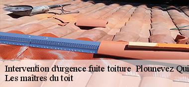 Intervention d'urgence fuite toiture   22110