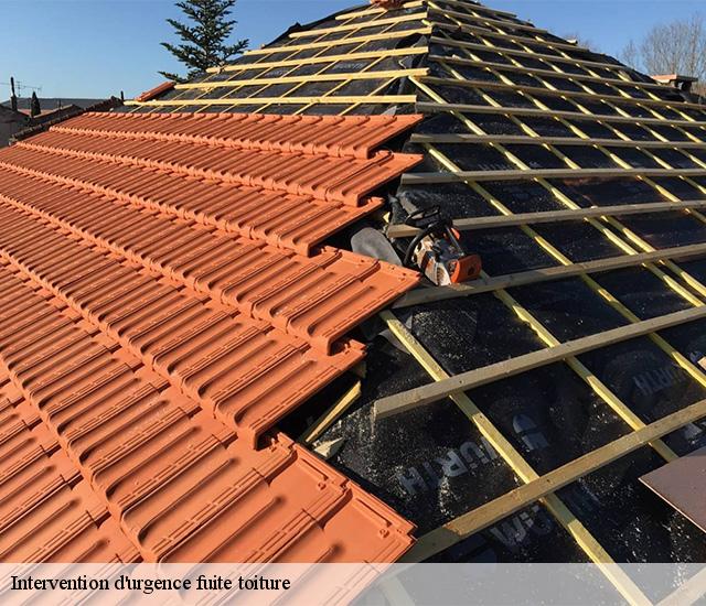 Intervention d'urgence fuite toiture   22860
