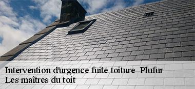 Intervention d'urgence fuite toiture   22310
