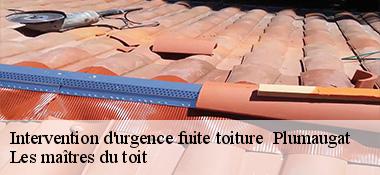 Intervention d'urgence fuite toiture   22250
