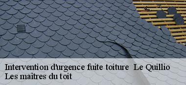 Intervention d'urgence fuite toiture   22460