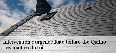 Intervention d'urgence fuite toiture   22460