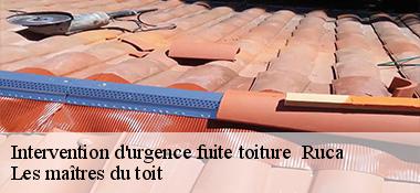 Intervention d'urgence fuite toiture   22550