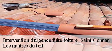Intervention d'urgence fuite toiture   22480