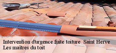 Intervention d'urgence fuite toiture   22460