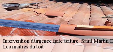 Intervention d'urgence fuite toiture   22320