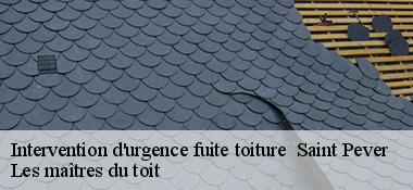 Intervention d'urgence fuite toiture 22720