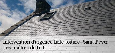 Intervention d'urgence fuite toiture 22720