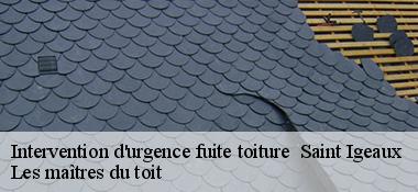 Intervention d'urgence fuite toiture   22570