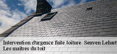 Intervention d'urgence fuite toiture 22720