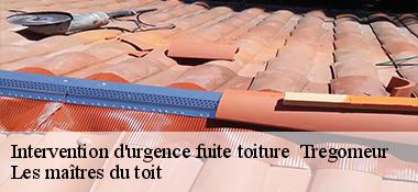 Intervention d'urgence fuite toiture   22590